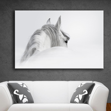 Imagens de arte de parede aavv, impressão de arte em tela, pintura de animais, cavalo branco (3) para sala sem moldura 2024 - compre barato