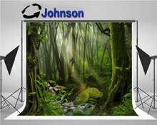 Rain Forest Tree Green Moss Sunshine background  High quality Computer print wall photo backdrop 2024 - buy cheap