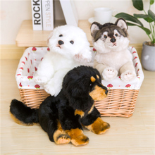 Милая имитация волка и собаки плюшевые игрушки мягкие Kawaii реалистичные куклы щенка животных для детей Детские Подарки хорошее качество 2024 - купить недорого