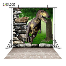 Laeacco-fondos de fotografía personalizados para estudio fotográfico, escenario de dinosaurio 3D para fiesta de bebés y niños 2024 - compra barato