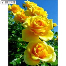 5D DIY Full Square Diamond Painting Cross Stitch Yellow roses 3D Diamond Embroidery Rhinestone Mosaic Home Decoration 2024 - buy cheap