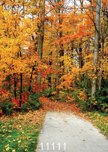Arte pano personalizar outono floresta caminho árvore foto backdrops prop para photo studio photobooth fotografia fundo photocall 2024 - compre barato