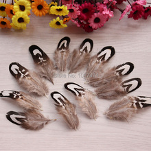 100pcs/lot 4-7cm natural real white and black reeves pheasant plumage feathers bulk sale for hair headwear jewelry craft making 2024 - buy cheap