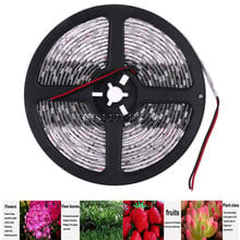 Plant growth lamp belt DC 12V 60led Resin Waterproof Hight Brightness 5050 LED Strip Light for Aquarium Greenhouse Plant Growing 2024 - buy cheap