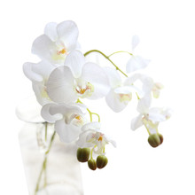 Модные Орхидея, искусственные цветы, сделай сам, искусственная Орхидея, Бабочка, Шелковый букет цветов, фаленопсис, свадебное украшение для дома 416Z 2024 - купить недорого