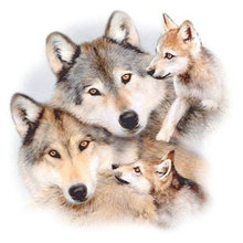 5D diy full square & round diamond painting wolf picture 3D diamond embroidery mosaic family decoration diamond cross stitch 2024 - buy cheap