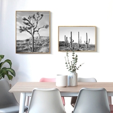 Pósteres de Cactus del desierto impresos, arte de pared bohemio, paisaje del desierto, pintura en lienzo, imágenes blancas y negras, fotografía moderna, decoración del hogar 2024 - compra barato