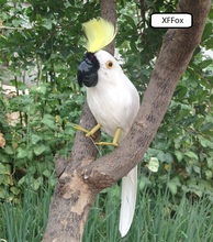 Novo modelo de papagaio branco da vida real, espuma e pena, simulação, barata, presente de pássaro sobre 38cm xf0144 2024 - compre barato