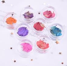 100pcs Pressed Dried Nigella damascena Flower Petal With Box For Epoxy Resin Jewelry Making Nail Art Craft DIY Accessories 2024 - buy cheap