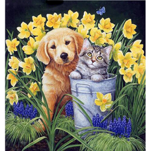 Completo squareround broca diy pintura diamante anime cão e gato padrões 3d strass bordado ponto cruz mosaico decoração da sua casa 2024 - compre barato