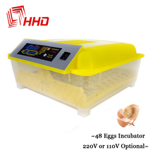 China YZ8-48 Fully Hatchery Machine Mini 48 Chicken Automatic Egg Incubators Sale Auto Turn for Duck Pigeon Quail Parrot 2024 - buy cheap