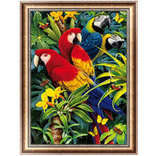 Parrots Flower 5D Diamond Embroidery Painting Cross Stitch DIY Craft Home Decor 40*30cm-Y102 2024 - buy cheap