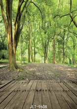 Cenários para fotografia e floresta, fundo de madeira para festas, material de vinil, para estúdio fotográfico 2024 - compre barato