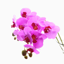 Flores artificiales de 71 CM, orquídea de mariposa de Orquídea mariposa Artificial de tacto Real para casa nueva, decoración de fiestas de bodas 2024 - compra barato