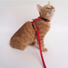 Adjustable Nylon Cat Harness And Leash 1 Set Pet Product Bandwidth 1.5cm Length 120cm Rope Puppy Cat Lead Walking Chest Strap 2024 - buy cheap