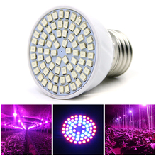 LED Grow Light Lamp 5W E27 220V Full Spectrum Phyto Lamp 50 Red 20 Blue Indoor Plant Lamp For Plants Vegs Hydroponic System 2024 - buy cheap