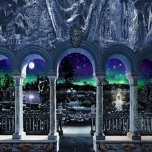 beauty Beast enchanted frozen castle fairy tale column full moon backdrop  Computer print children kids background 2024 - buy cheap