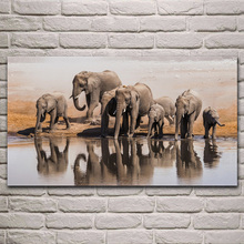 Familia de elefantes por orilla de agua, carteles de ilustraciones de animales salvajes en la pared, imagen del hogar, decoración de la sala de estar para el dormitorio KH672 2024 - compra barato