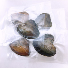 Factory Sale Wish Pearl Oysters Can with Real Rice Freshwater Pearl Inside, Vacuum-pack Oyster -Pearl Mussel Wholesale 2024 - buy cheap