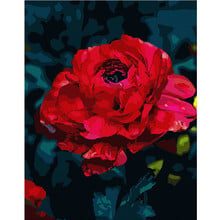 Картина по номерам DIY Прямая поставка 40x50 50x65 см Очаровательная большая красная роза цветок холст свадебное украшение искусство картина подарок 2024 - купить недорого