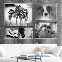 Pintura de arte em tela para decoração caseira, pintura a óleo sem moldura, animais preto e branco, zebra, cão, cavalo, elefante 2024 - compre barato
