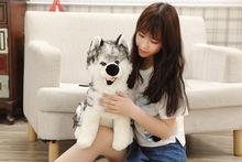 middle size simulation husky dog plush creative husky dog doll about 55cm 2024 - buy cheap