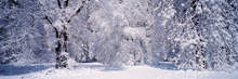 Pintura de diamantes 5d paisagem de inverno árvore de neve mosaico 3d bordado quadrado completo strass pintura de decoração de casa 2024 - compre barato
