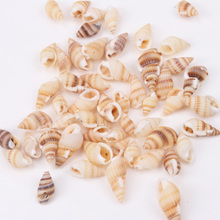 19-25mm Natural Spiral Shell Loose Beads for jewelry making DIY 50pcs TRS0126X 2024 - buy cheap