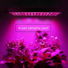 Luz LED de espectro completo para cultivo de invernadero, bombillas de Luz Led para crecimiento de plantas de 25W para interior, luces de tienda para plantas hidropónicas, Phyto Lamp 2024 - compra barato