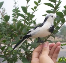 Juguete de simulación de cola de caballo pequeña, juguete de plástico y pelo blanco y negro, modelo de pájaro, regalo de alrededor de 18cm 2180 2024 - compra barato