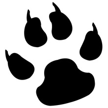 10.2*10.9CM Cat Paw With Claws Window Stickers Vinyl Decal Car Styling Cartoon Animal Decoration Accessories C6-0805 2024 - buy cheap