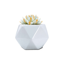 Maceta de flores suculentas de pentagonal con costura triangular de cerámica blanca creativa, maceta casera para Cactus Lithop con maceta de agujero inferior 2024 - compra barato