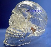 Human Anatomical Anatomy Head Skull Skeleton Medical Model Transparent 2024 - buy cheap