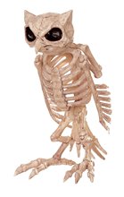 Decoração de festa halloween osso esqueleto coruja fantasia 2024 - compre barato