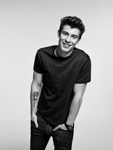 Shawn Mendes Шелковый плакат настенный Декор картина для комнаты 24X3Inch 2024 - купить недорого