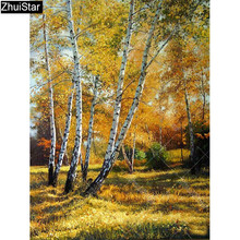 Zhui-pintura de diamante 5D DIY de "Bosque de abedul", bordado 3D de cuentas cuadradas, punto de cruz, mosaico de estrás, decoración 2024 - compra barato