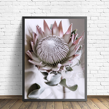 HD Prints Home Decoration Wall Art Canvas Protea Flower Painting Simple Pictures Modern Watercolor Poster Modular For Bedroom 2024 - buy cheap