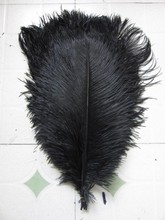 50 Uds venta al por mayor de alta calidad de pluma de avestruz color negro 12-14 pulgadas/30-35 cm decoración para bodas 2024 - compra barato