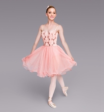 2018 New Professional Ballet Tutu Hard Organdy Platter Skirt Adult Classical Ballet Costume Tutu Dance Dress  B-2407 2024 - buy cheap