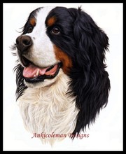 Needlework for embroidery DIY French DMC High Quality - Counted Cross Stitch Kits 14 ct Oil painting - Bernese Mt. Dog 2024 - buy cheap