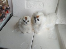 simulation white pekingese dog model one pair / 2 pieces ,polyethylene&furs handicraft Miniatures decoration toy gift a2278 2024 - buy cheap