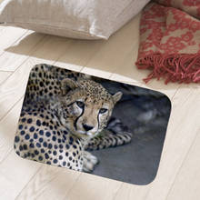 Quality print leopard 40x60cm floor mat hallway doormat suede Welcome entrance door mat anti-slip water Water absorption carpet 2024 - buy cheap
