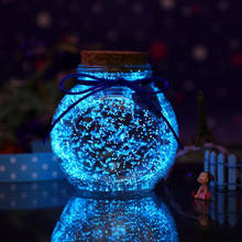 10 г люминесцентные частицы светящиеся вечерние DIY яркая краска звезда Желая бутылка флуоресцентные Частицы украшения-игрушки 2024 - купить недорого