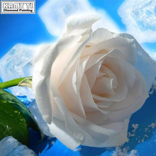 5D DIY Алмазная Вышивка крестом белая розы Бриллиантовая мозаика полный набор для рисования с круглыми камнями и полотном Картина декора стен HYY 2024 - купить недорого