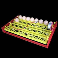 32 Eggs Turn Tray Automatic Incubator Egg Tray 110v / 220v / 12v Chicken Duck Eggs Tray 28 X 43 cm 8 Holes 2024 - buy cheap