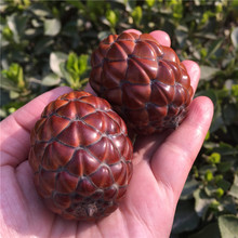 2pcs Natural Pine Cones Plam Things Pinecone Holiday Party Christmas Decoration Home Supplies 2024 - buy cheap