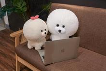 2019 new 30/40cm Bichon Frise doll cute dog toys plush toys girls gifts children birthday gifts Christmas gifts baby 2024 - buy cheap