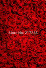 Art Fabric Photography Backdrop Flower Custom Photo Prop backgrounds 5ftX7ft D-1795 2024 - buy cheap