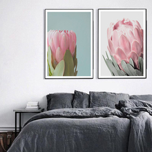 Flower Nordic Protea Posters and Prints Pink Floral Canvas Painting Modern Art Wall Pictures for Living Room Home Decor No Frame 2024 - buy cheap