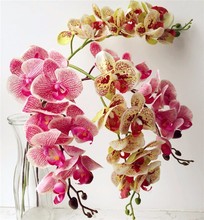 Одно касание орхидеи бабочка фаленопсис белый/розовый/желтый искусственный Голубь из латекса цимбидиевые цветы орхидеи для свадебного укр... 2024 - купить недорого